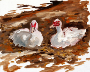 Daisy und Horst