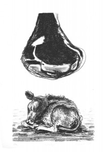 Sleep